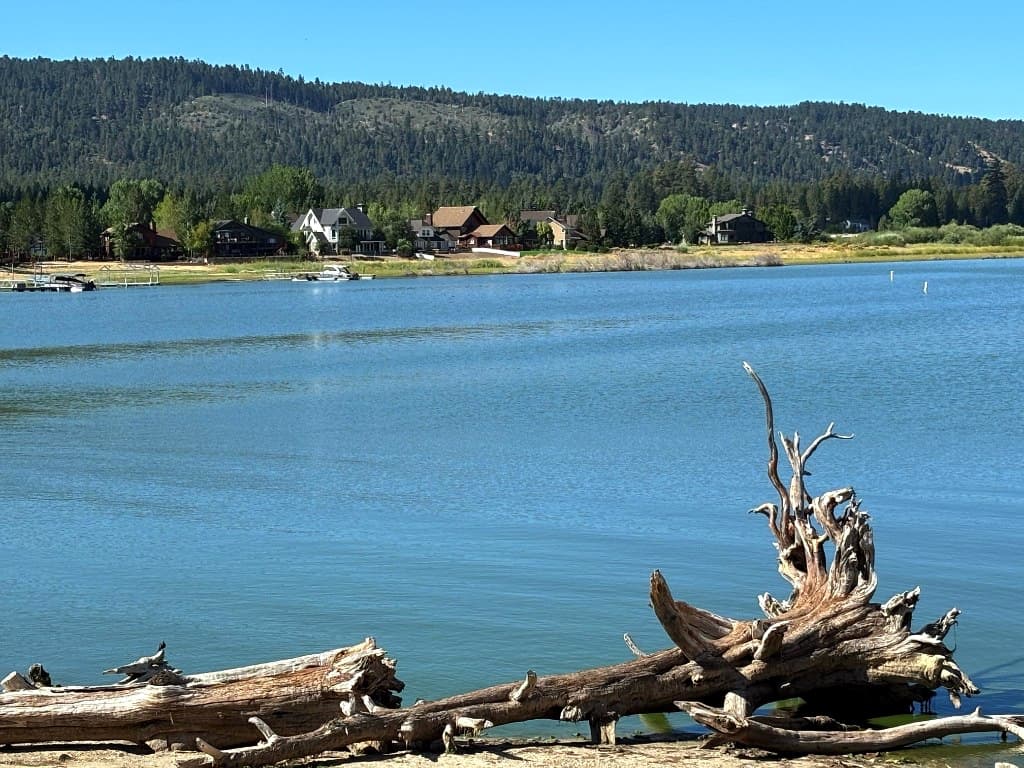 Calm blue lake with weathered driftwood on a sandy shoreline, mountain homes among trees, and a forested hillside beyond.
